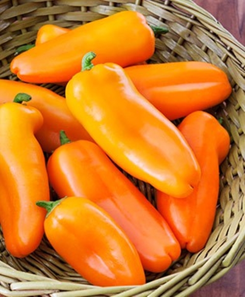 Yellow sweet peppers LUNCHBOX ORANGE or SNACK PEPPER Sweet Pepper